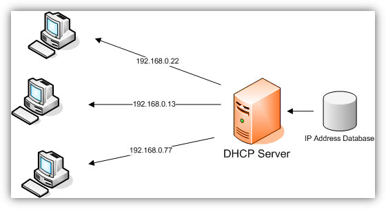 Pengertian dan Fungsi DHCP Server.