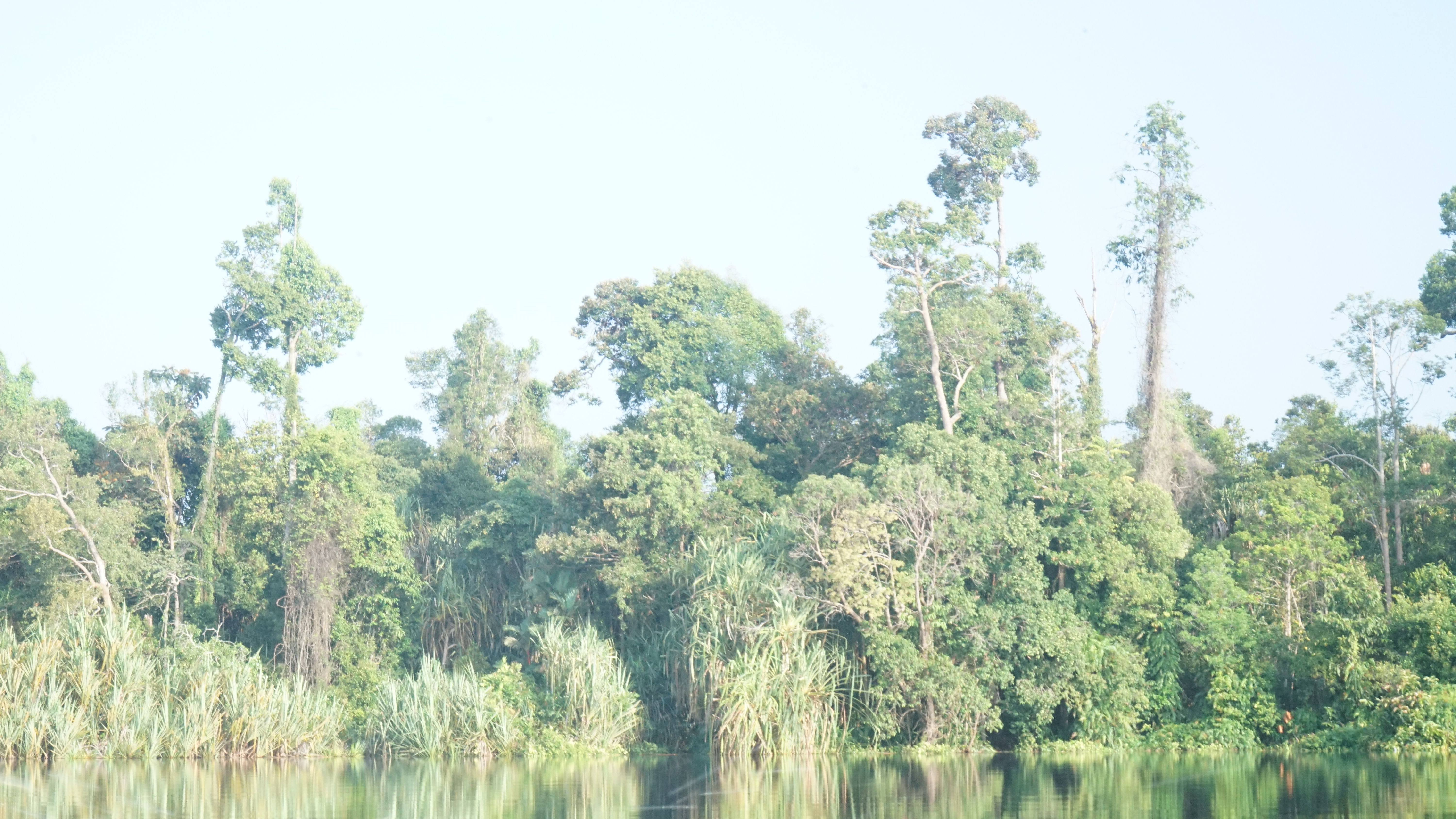 Lahan gambut terbesar di riau