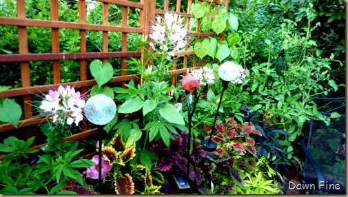garden_014