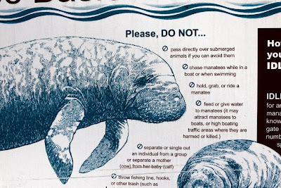 No riding manatees.