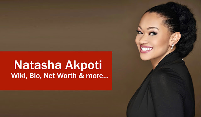 Natasha Akpoti Wiki