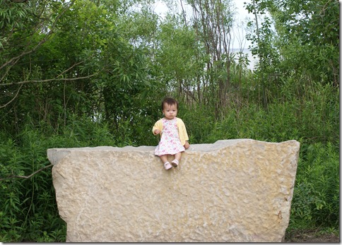 DSC09627-1