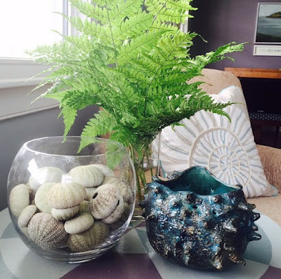 ferns, sea urchins, pottery, beach decor, summer house 