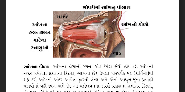 Eye problems and eye care