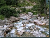 DSCN6198