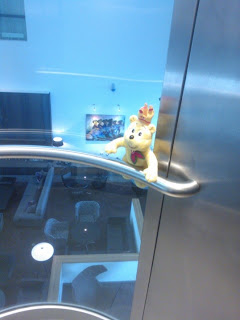 Pom Bear in a glass lift