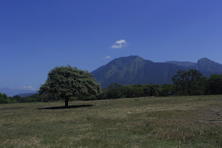 baluran national park banyuwangi