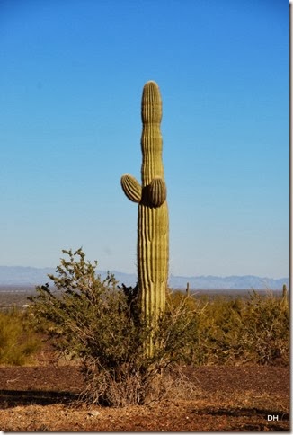 01-17-14 A Quartzsite (8)
