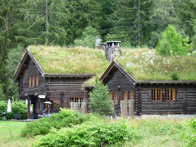 屋根にも草花が茂った山小屋　シャモニー渓谷