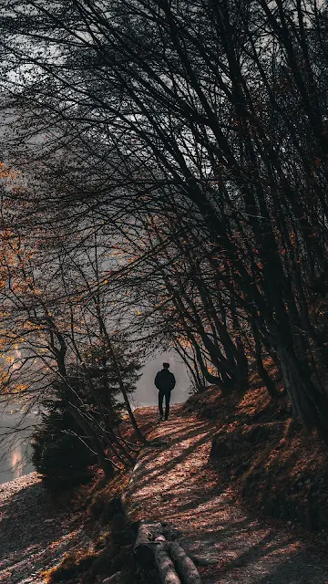 Free Wallpaper Nature Autumn, Alone Man, Trees, River