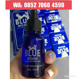 Agen Blue Wizard Asli Surabaya