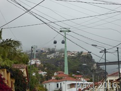 P1100959