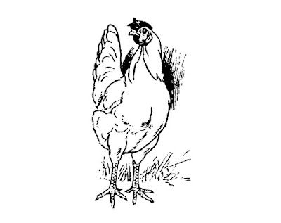 50+ Pencil sketch and Cartoon Images of Chicken