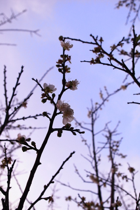 R0066920