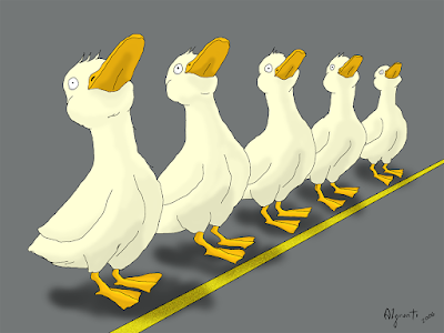 Ducks Lined Up