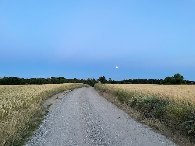 Road from Lotte's house to her summer house