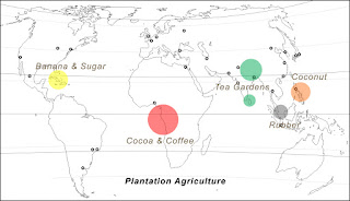 Important plantation crops from different countries