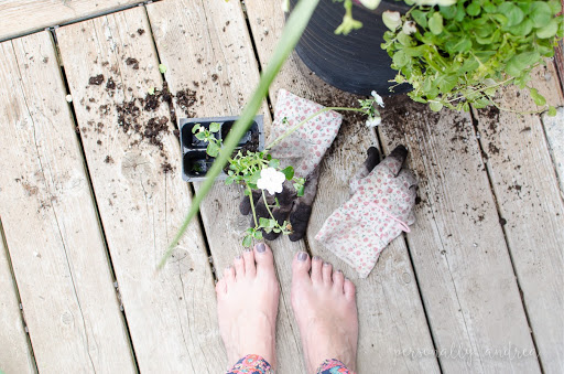 Planting containers and urns for the backyard garden