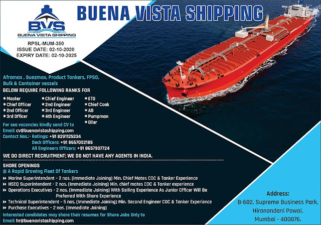 Job Seafarer Buena Vista Shipping All Ranks Bulk & Container Vessel