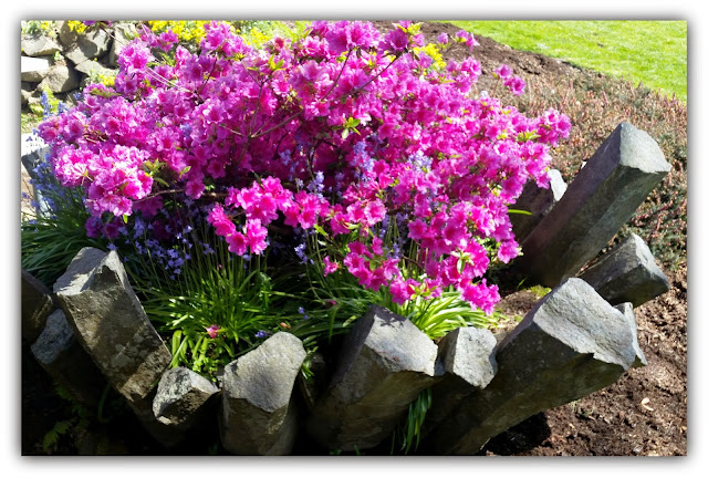 Beautiful garden in Blaine WA Peace Arch Park