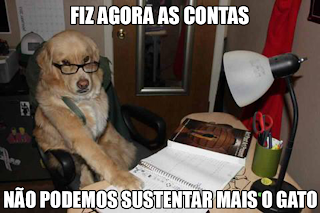 cão faz as contas da casa