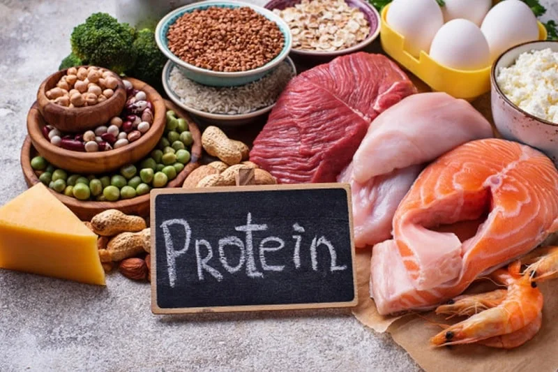 Protein