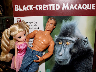 black crested macaque GI Joe muscles hot blonde sugar baby daddy date at the zoo Denver Colorado