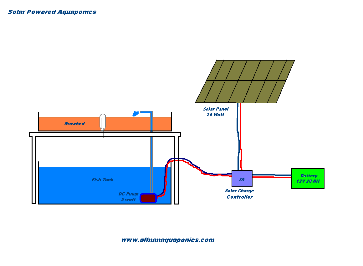 Affnan's Aquaponics: Solar Powered Aquaponics