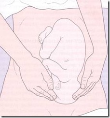 clip_image002[10]