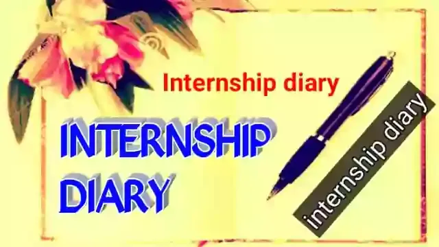 What is an Internship Diary?