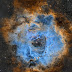 The Rosette Nebula