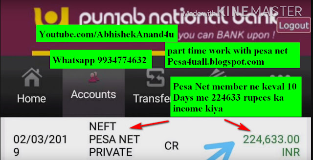 Pesa net Payment proof of 224633 rupees in 10 Days only March 2019 | Pesa net member ne keval 10 Days me 224633 rupees ka income kiya march march 2019 | Pesa net bank payment proof march 2019