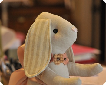 Bunny Closeup