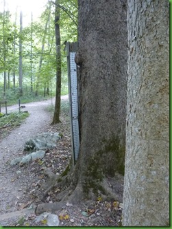 P1030541