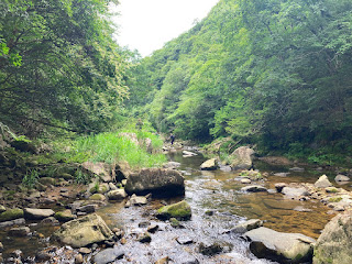 Kamakura Valley