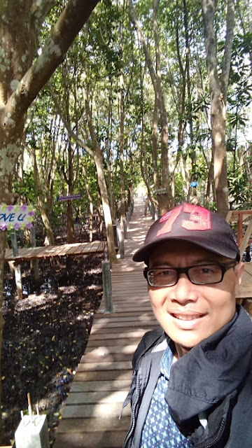 Mangrove