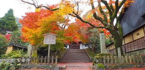 [京都] 安楽寺の紅葉