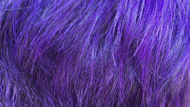 The colour project, purple hair