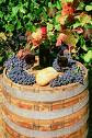 picture of napa valley red wine on barrel with grapes