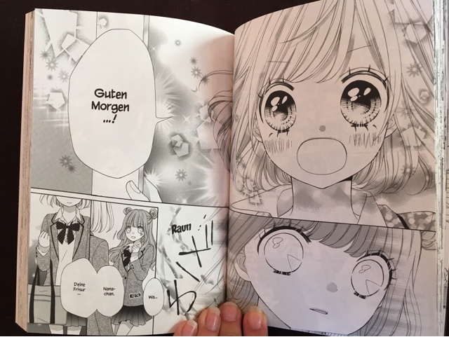 Review zum Manga Rainbow Revolution