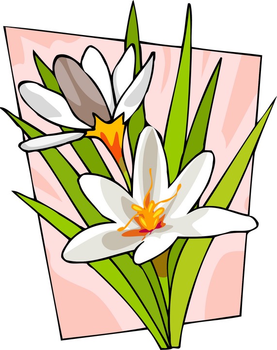 thank you flowers animation. thank you flowers clip art.