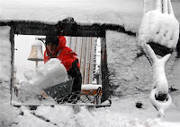 New Year Snowfall Pictures