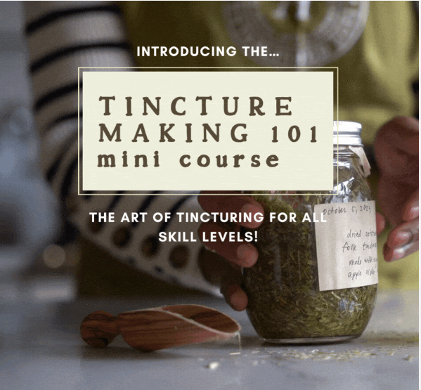 Embrace Herbal Wisdom: Tincture Making 101! Limited Early Bird Offers Inside