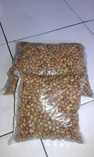 Pusat Grosir Biji Polokyo Kiloan Murah | Ready Banyak