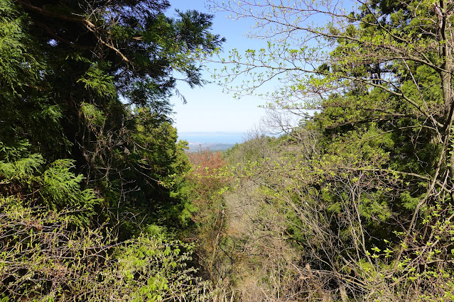 鳥取県西伯郡伯耆町丸山 牧草地の奥の山道