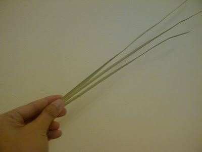 Palm Sunday 2012