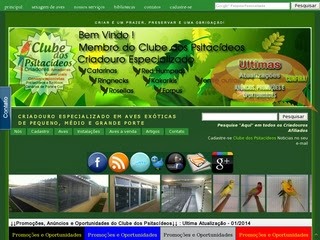 Criadouro de Psitacídeos de médio e Grande Porte