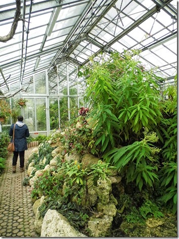Jardin Botanique de Genève
