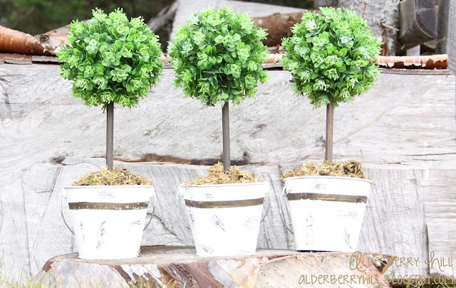mini topiary