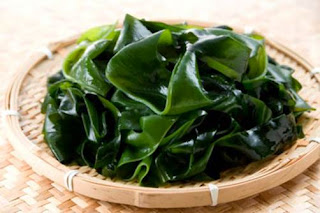 seaweed food benefits,seaweed health food,seaweed food chain.seaweed food for plants,seaweed food thickener,seaweed food web,seaweed food recipes,seaweed food value